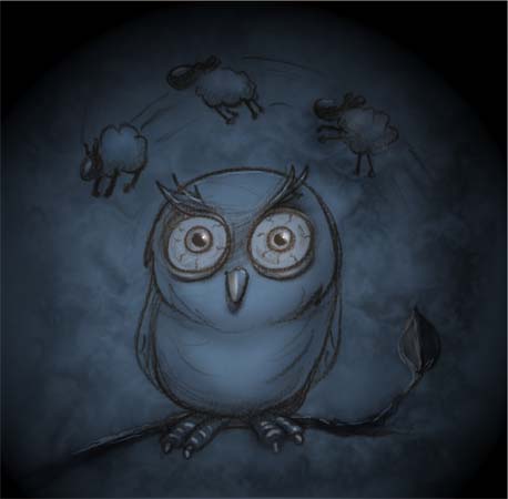 owl illustration